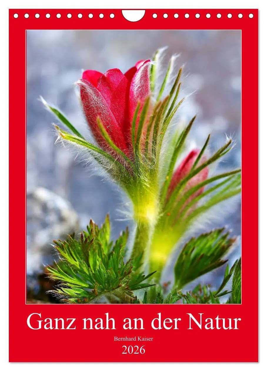 Cover: 9783516417944 | Ganz nah an der Natur (Wandkalender 2026 DIN A4 hoch), CALVENDO...